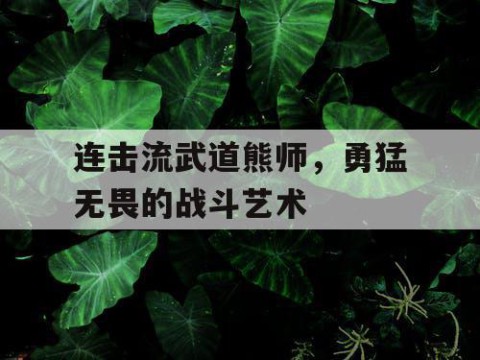 连击流武道熊师，勇猛无畏的战斗艺术