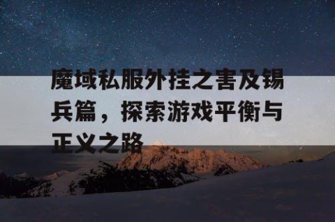 魔域私服外挂之害及锡兵篇，探索游戏平衡与正义之路