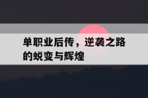 单职业后传，逆袭之路的蜕变与辉煌