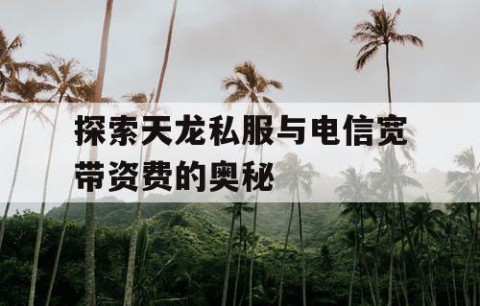 探索天龙私服与电信宽带资费的奥秘