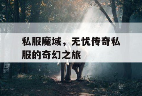 私服魔域，无忧传奇私服的奇幻之旅
