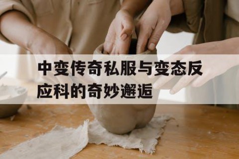 中变传奇私服与变态反应科的奇妙邂逅