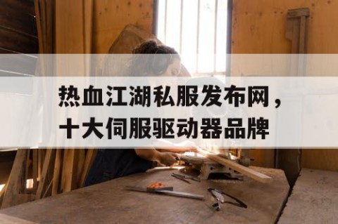 热血江湖私服发布网，十大伺服驱动器品牌