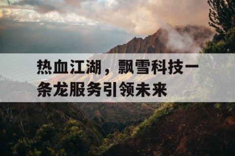 热血江湖，飘雪科技一条龙服务引领未来
