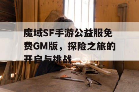魔域SF手游公益服免费GM版，探险之旅的开启与挑战
