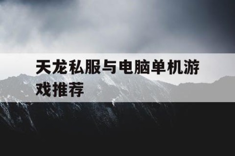 天龙私服与电脑单机游戏推荐