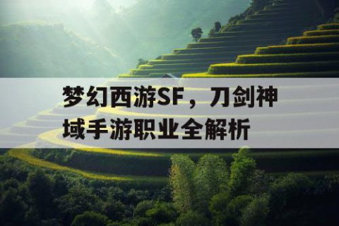 梦幻西游SF，刀剑神域手游职业全解析
