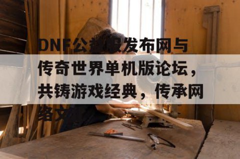 DNF公益服发布网与传奇世界单机版论坛,共铸游戏经典,传承网络文化