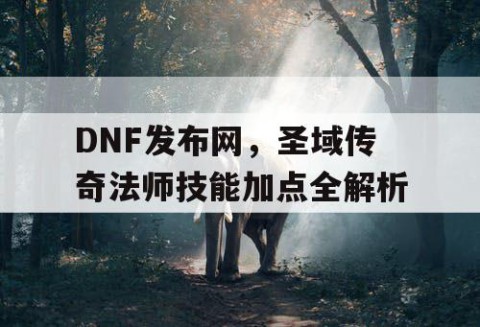 DNF发布网，圣域传奇法师技能加点全解析