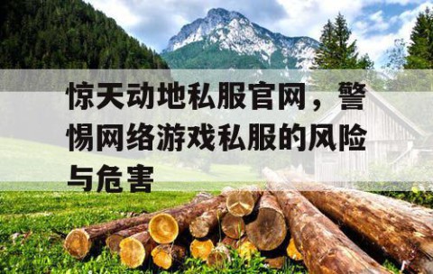惊天动地私服官网，警惕网络游戏私服的风险与危害