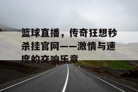 篮球直播,传奇狂想秒杀挂官网——激情与速度的交响乐章