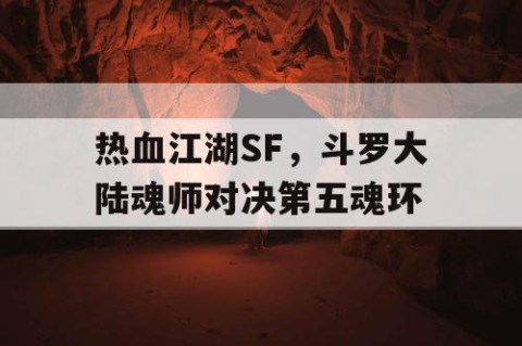 热血江湖SF，斗罗大陆魂师对决第五魂环