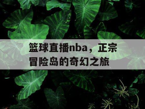 篮球直播nba，正宗冒险岛的奇幻之旅