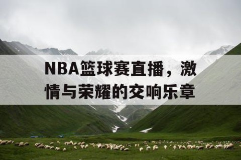 NBA篮球赛直播，激情与荣耀的交响乐章