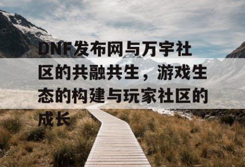 DNF发布网与万宇社区的共融共生，游戏生态的构建与玩家社区的成长