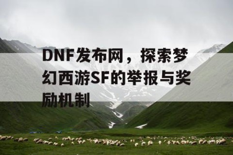 DNF发布网，探索梦幻西游SF的举报与奖励机制