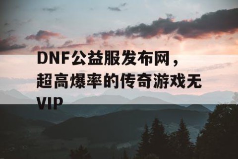 DNF公益服发布网，超高爆率的传奇游戏无VIP