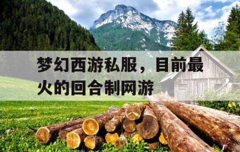 梦幻西游私服，目前最火的回合制网游