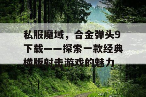私服魔域，合金弹头9下载——探索一款经典横版射击游戏的魅力