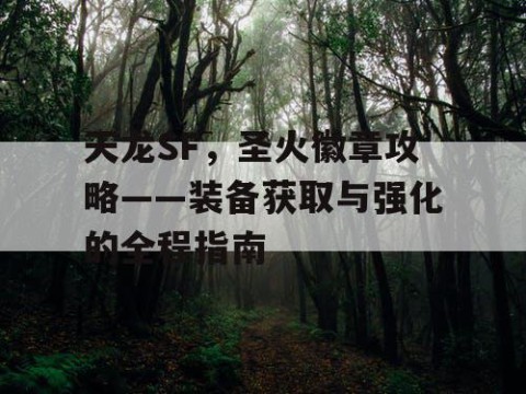 天龙SF，圣火徽章攻略——装备获取与强化的全程指南