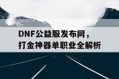 DNF公益服发布网，打金神器单职业全解析