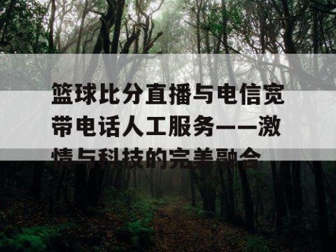 篮球比分直播与电信宽带电话人工服务——激情与科技的完美融合