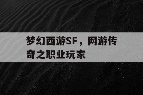 梦幻西游SF，网游传奇之职业玩家