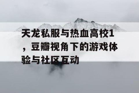 天龙私服与热血高校1，豆瓣视角下的游戏体验与社区互动