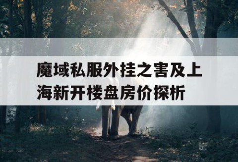 魔域私服外挂之害及上海新开楼盘房价探析