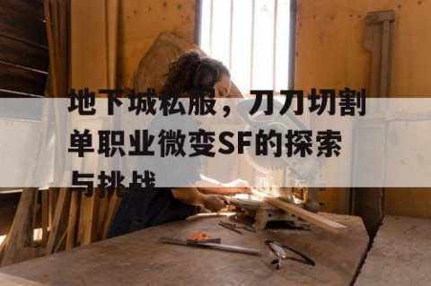 地下城私服，刀刀切割单职业微变SF的探索与挑战