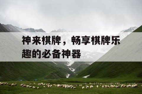 神来棋牌，畅享棋牌乐趣的必备神器