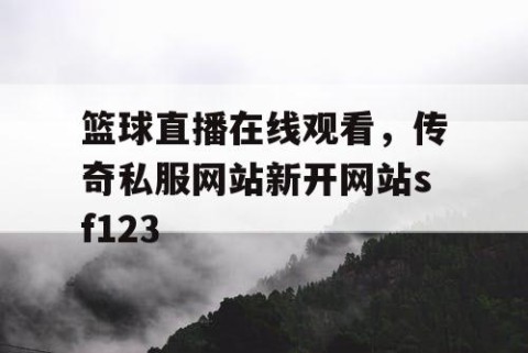 篮球直播在线观看，传奇私服网站新开网站sf123