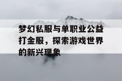 梦幻私服与单职业公益打金服，探索游戏世界的新兴现象