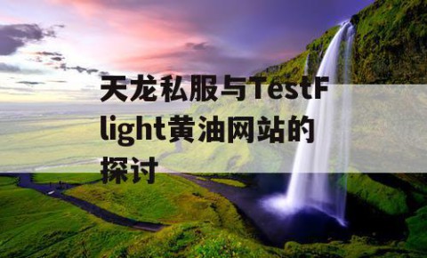 天龙私服与TestFlight黄油网站的探讨