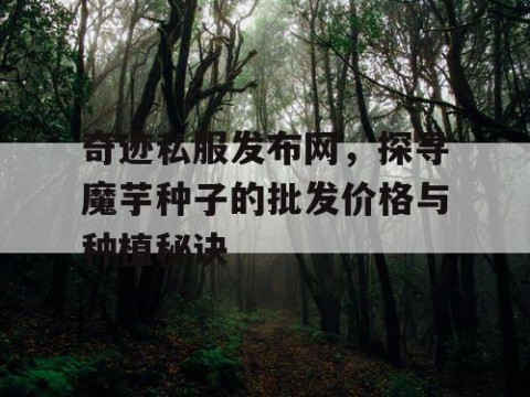 奇迹私服发布网，探寻魔芋种子的批发价格与种植秘诀