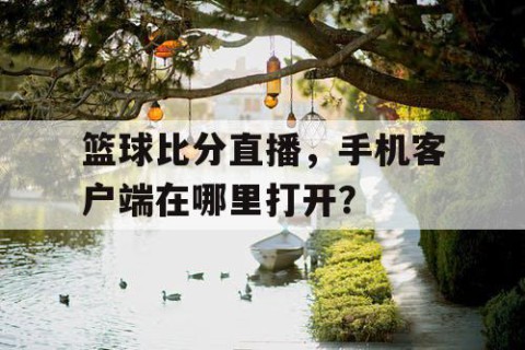 篮球比分直播，手机客户端在哪里打开？