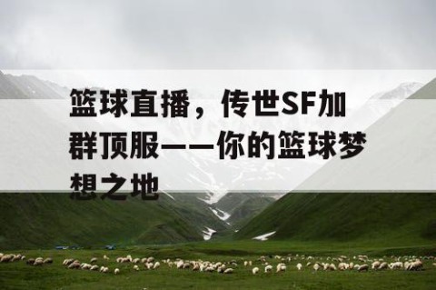 篮球直播,传世SF加群顶服——你的篮球梦想之地