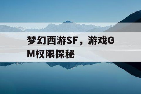 梦幻西游SF，游戏GM权限探秘