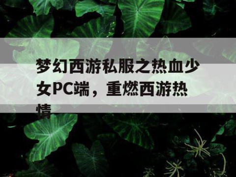 梦幻西游私服之热血少女PC端，重燃西游热情