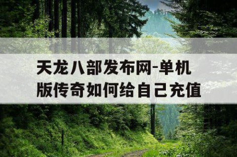 天龙八部发布网-单机版传奇如何给自己充值