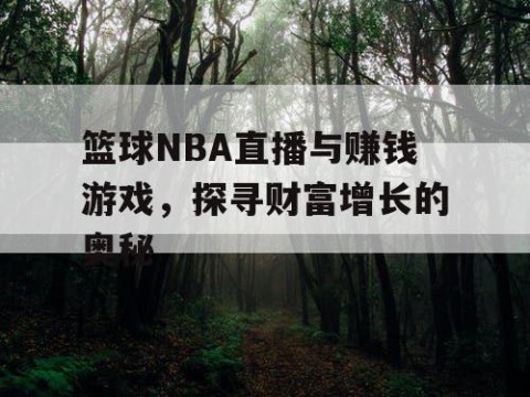篮球NBA直播与赚钱游戏，探寻财富增长的奥秘