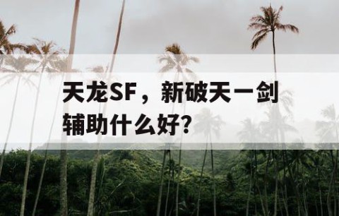 天龙SF，新破天一剑辅助什么好？