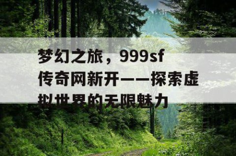 梦幻之旅，999sf传奇网新开——探索虚拟世界的无限魅力