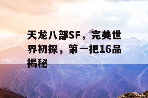 天龙八部SF，完美世界初探，第一把16品揭秘
