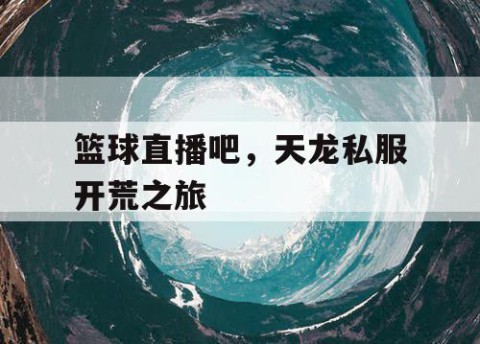 篮球直播吧,天龙私服开荒之旅