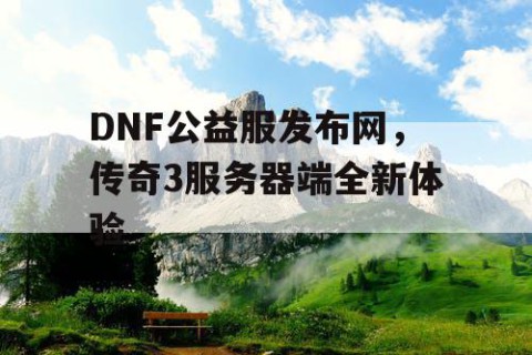 DNF公益服发布网，传奇3服务器端全新体验