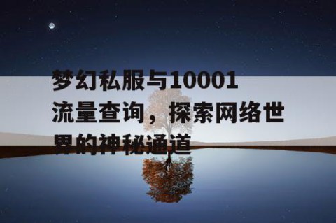 梦幻私服与10001流量查询，探索网络世界的神秘通道