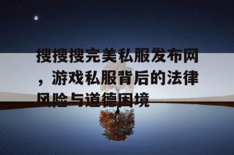 搜搜搜完美私服发布网，游戏私服背后的法律风险与道德困境