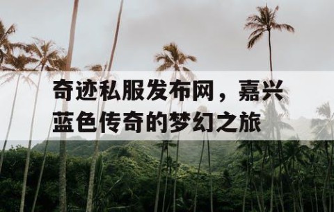 奇迹私服发布网,嘉兴蓝色传奇的梦幻之旅