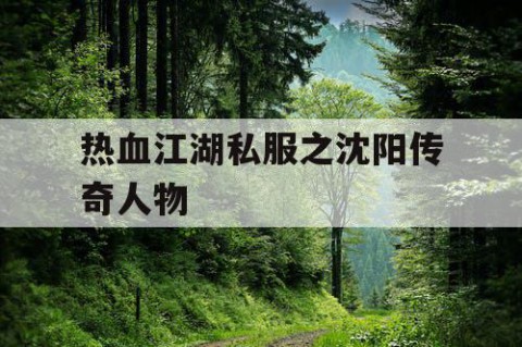 热血江湖私服之沈阳传奇人物